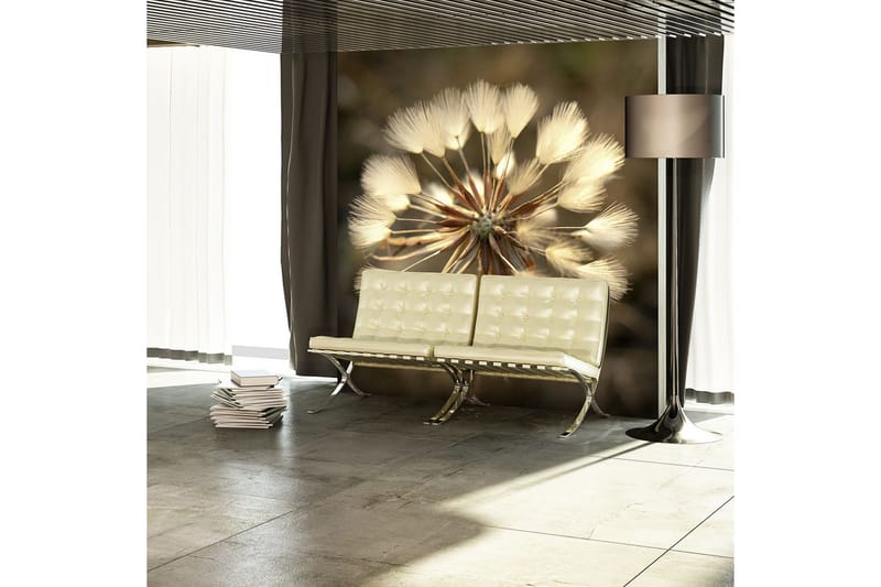 Fototapet Summer time Dandelion 250x193, Artgeist sp. z o. o.