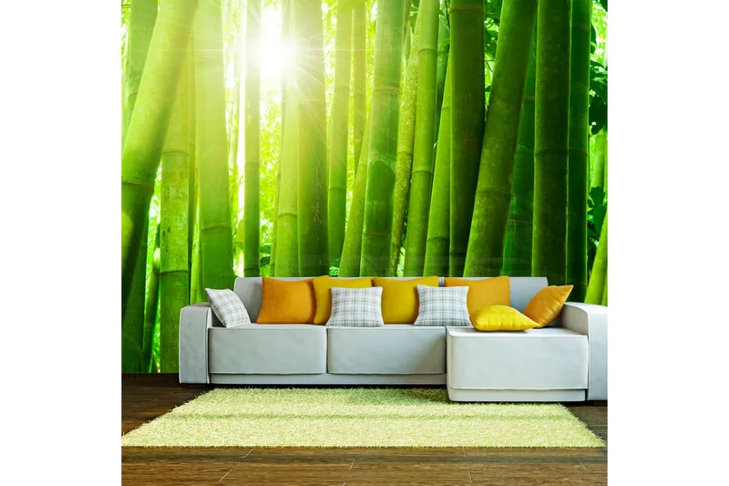 Fototapet Sun And Bamboo 250x193, Artgeist sp. z o. o.