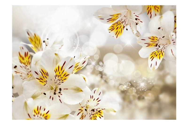 Fototapet Sunny Alstroemeria 200x140 - Artgeist sp. z o. o. - Innredning - Veggdekorasjon - Tapeter - Fototapeter