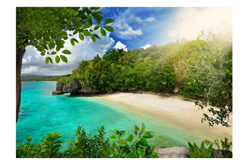 Fototapet Sunny Beach 200x140 - Artgeist sp. z o. o. - Innredning - Veggdekorasjon - Tapeter - Fototapeter