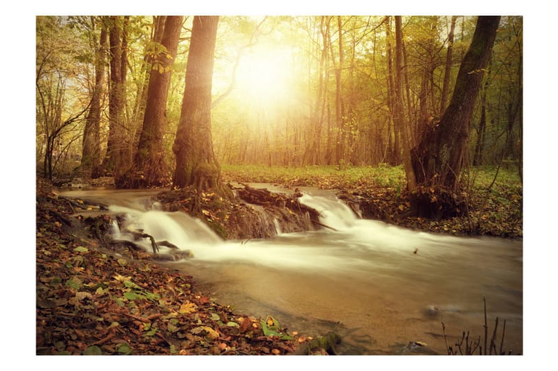 Fototapet Sunny Current 250x175 - Artgeist sp. z o. o. - Innredning - Veggdekorasjon - Tapeter - Fototapeter