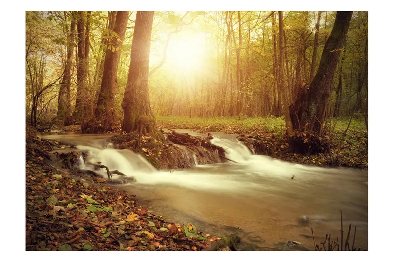 Fototapet Sunny Current 400x280 - Artgeist sp. z o. o. - Innredning - Veggdekorasjon - Tapeter - Fototapeter