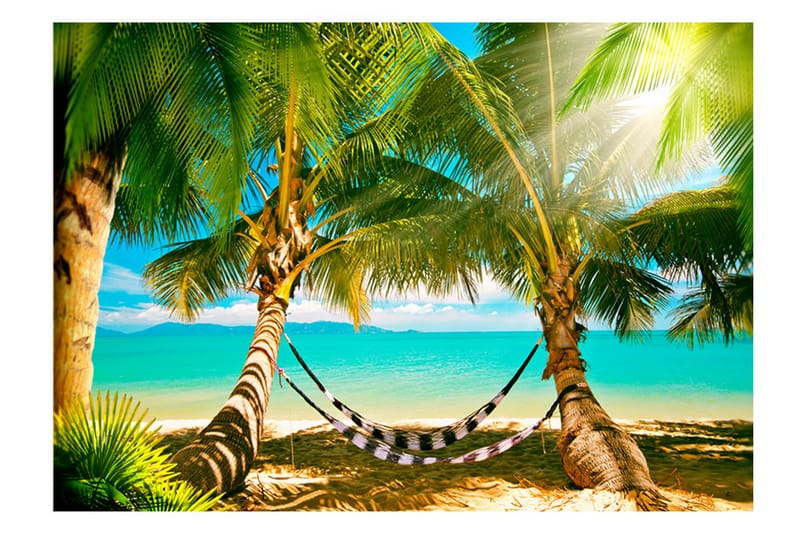 Fototapet Sunny Duo 350x245 - Artgeist sp. z o. o. - Innredning - Veggdekorasjon - Tapeter - Fototapeter