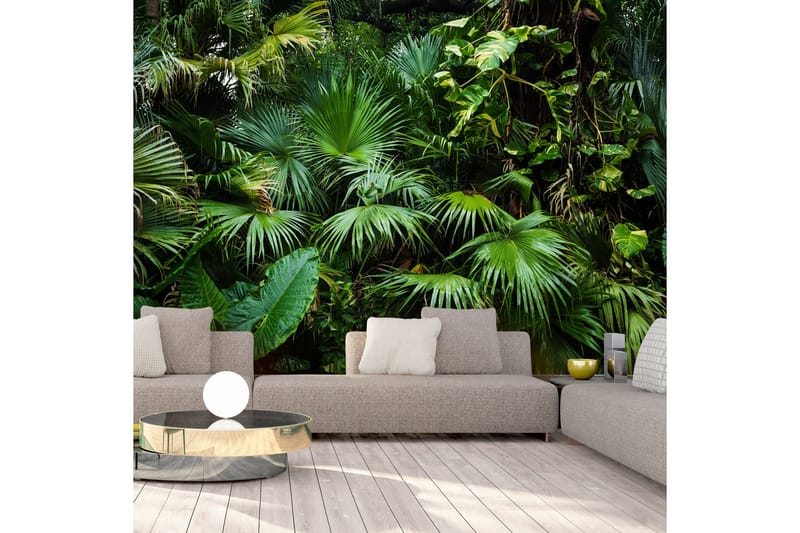 Fototapet Sunny Jungle 400x280 - Artgeist sp. z o. o. - Innredning - Veggdekorasjon - Tapeter - Fototapeter