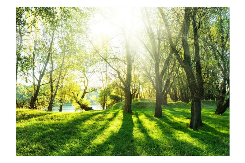 Fototapet Sunny May Day 300x210, Finnes i flere størrelser