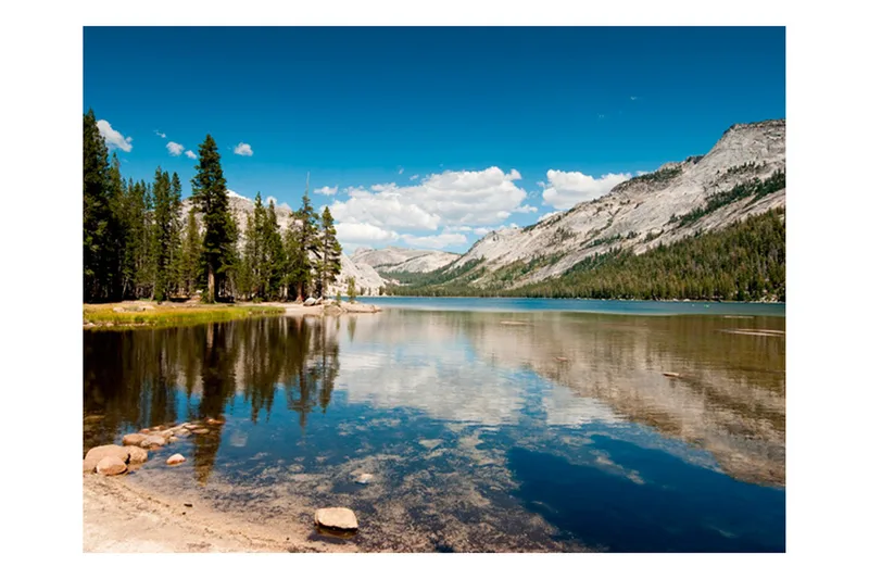 Fototapet Tenaya Lake Yosemite National Park 400x309 - Artgeist sp. z o. o. - Innredning - Veggdekorasjon - Tapeter - Fototapeter