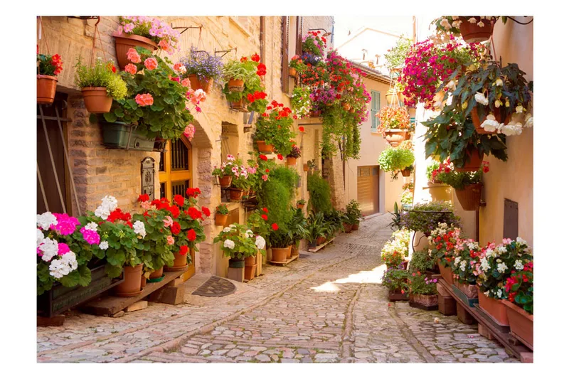 Fototapet The Alley In Spello Italia 150x105 - Artgeist sp. z o. o. - Innredning - Veggdekorasjon - Tapeter - Fototapeter