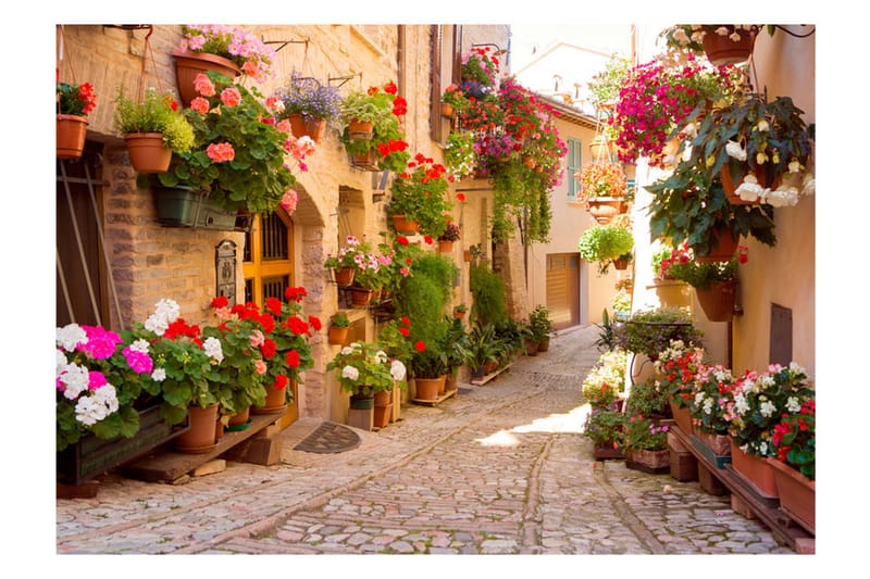 Fototapet The Alley In Spello Italy 300x210 - Artgeist sp. z o. o. - Innredning - Veggdekorasjon - Tapeter - Fototapeter