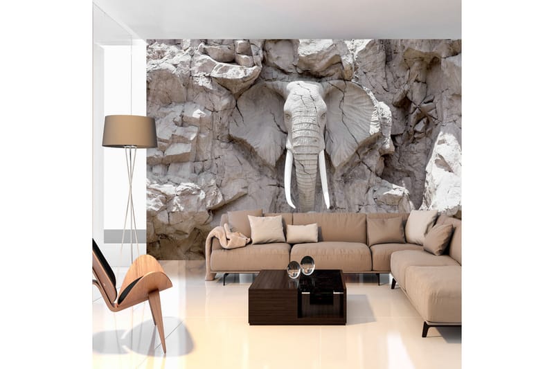 Fototapet The Bridge Of Time South Africa 250x175, Artgeist sp. z o. o.