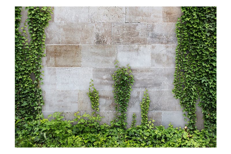 Fototapet The Forgotten Garden 150x105 - Artgeist sp. z o. o. - Innredning - Veggdekorasjon - Tapeter - Fototapeter