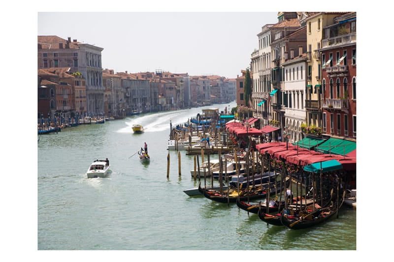 Fototapet The Grand Canal Venedig Italien 350x270 - Artgeist sp. z o. o. - Innredning - Veggdekorasjon - Tapeter - Fototapeter