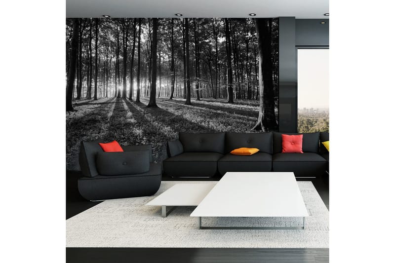 Fototapet The Light In The Forest 250x175, Artgeist sp. z o. o.