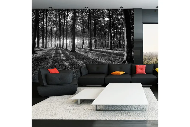 Fototapet The Light In The Forest 300x210, Artgeist sp. z o. o.