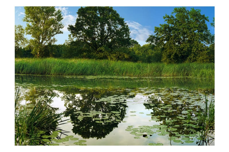 Fototapet The Magic Pond 100x70 - Artgeist sp. z o. o. - Innredning - Veggdekorasjon - Tapeter - Fototapeter