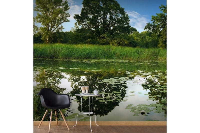 Fototapet The Magic Pond 150x105, Artgeist sp. z o. o.