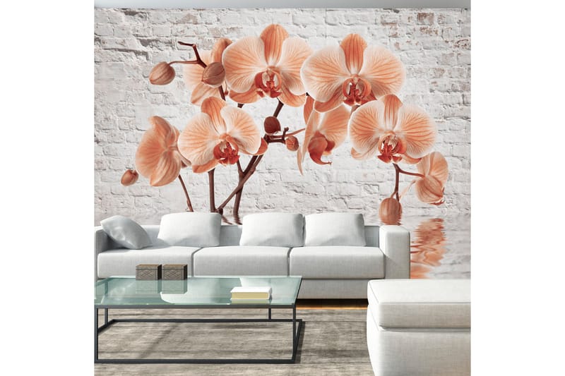 Fototapet The Orange Arc 150x105, Artgeist sp. z o. o.