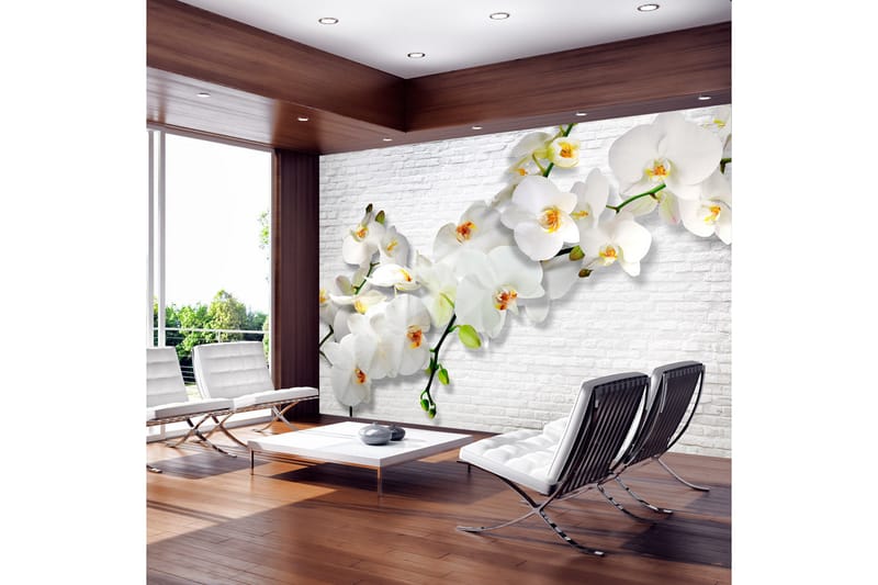 Fototapet The Urban Orchid 350x245 - Artgeist sp. z o. o. - Innredning - Veggdekorasjon - Tapeter - Fototapeter