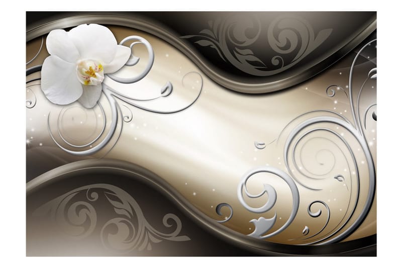 Fototapet This Right Way 350x245 - Artgeist sp. z o. o. - Innredning - Veggdekorasjon - Tapeter - Fototapeter