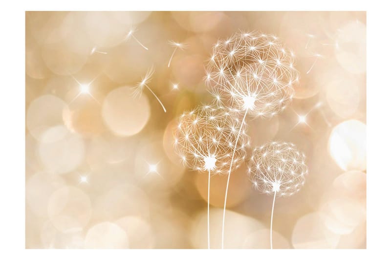 Fototapet Touch Of Summer 200x140 - Artgeist sp. z o. o. - Innredning - Veggdekorasjon - Tapeter - Fototapeter