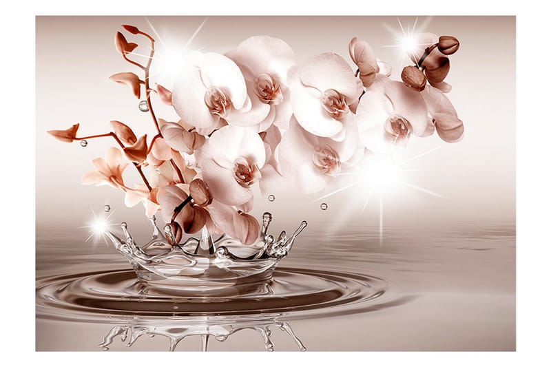 Fototapet Touch Of Tenderness 200x140 - Artgeist sp. z o. o. - Innredning - Veggdekorasjon - Tapeter - Fototapeter