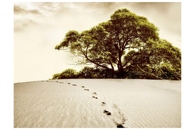 Fototapet Tree Desert 250x193 - Artgeist sp. z o. o. - Innredning - Veggdekorasjon - Tapeter - Fototapeter
