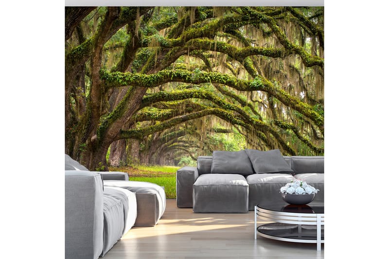 Fototapet Tree Embrace 200x140 - Artgeist sp. z o. o. - Innredning - Veggdekorasjon - Tapeter - Fototapeter