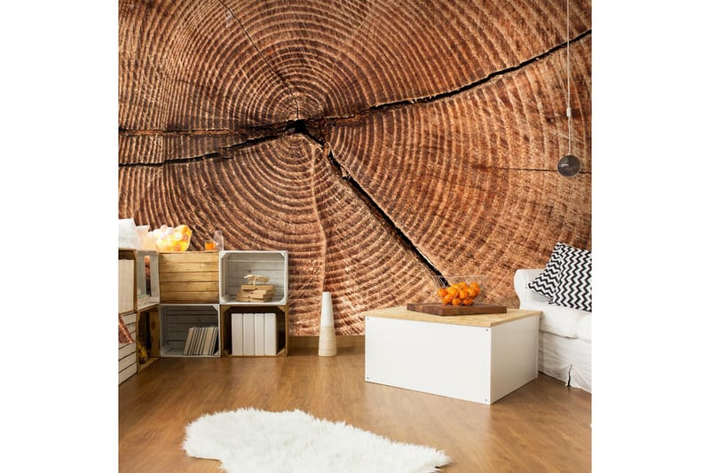 Fototapet Tree trunk Cross section 250x193, Artgeist sp. z o. o.