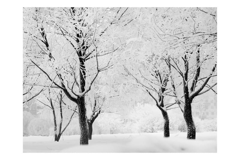 Fototapet Tree Winter Landscape 200x154 - Artgeist sp. z o. o. - Innredning - Veggdekorasjon - Tapeter - Fototapeter