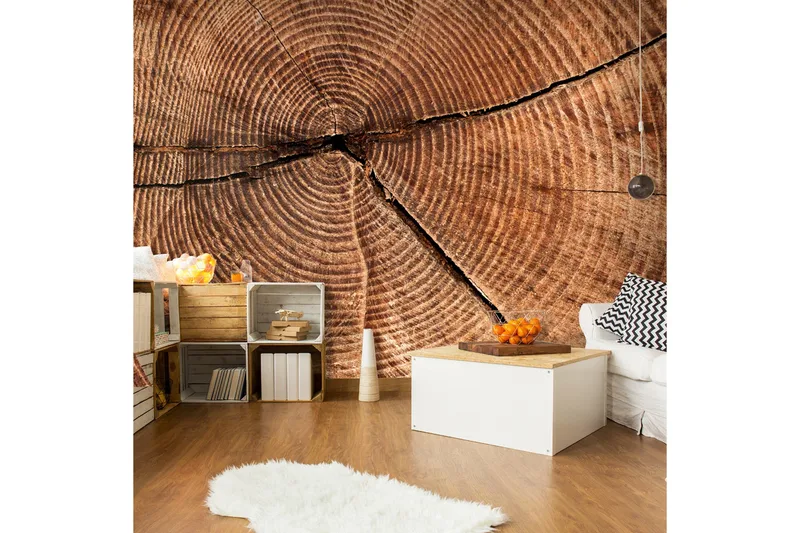 Fototapet Trestamme Tverrsnitt 300x231 - Artgeist sp. z o. o. - Innredning - Veggdekorasjon - Tapeter - Fototapeter