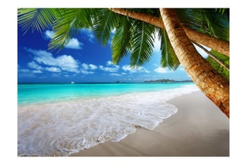 Fototapet Tropical Island 350x245 - Artgeist sp. z o. o. - Innredning - Veggdekorasjon - Tapeter - Fototapeter