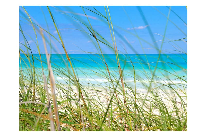 Fototapet Tropical Journey 350x270 - Artgeist sp. z o. o. - Innredning - Veggdekorasjon - Tapeter - Fototapeter