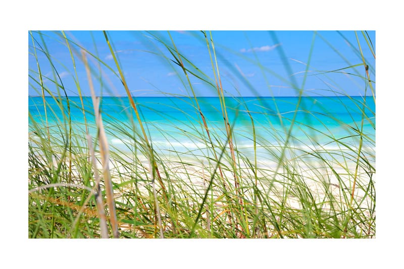Fototapet Tropical Journey 450x270 - Artgeist sp. z o. o. - Innredning - Veggdekorasjon - Tapeter - Fototapeter