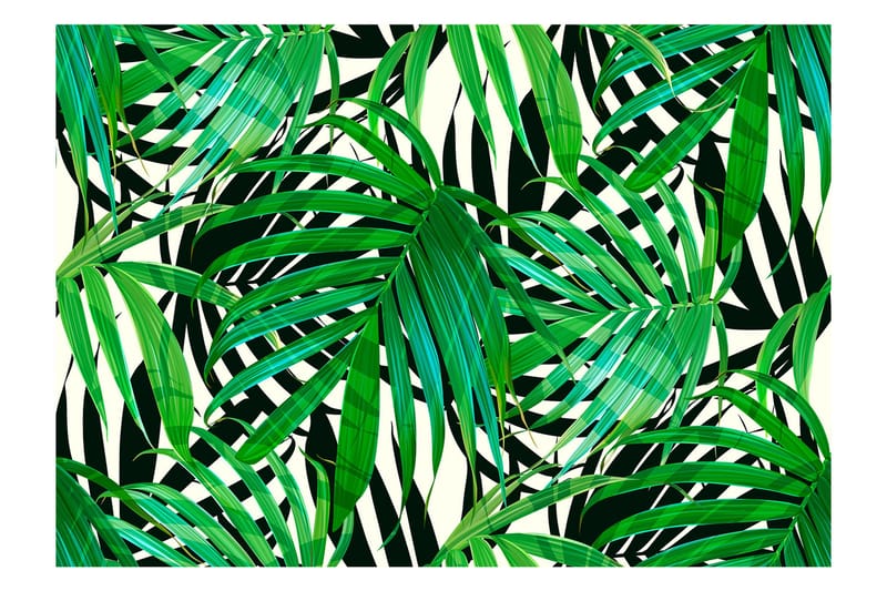 Fototapet Tropical Leaves 250x175, Artgeist sp. z o. o.