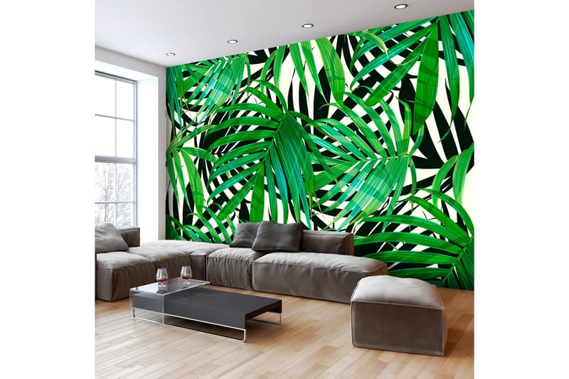 Fototapet Tropical Leaves 250x175 - Artgeist sp. z o. o. - Innredning - Veggdekorasjon - Tapeter - Fototapeter