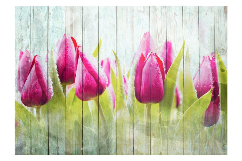 Fototapet Tulips On White Wood 100x70 - Artgeist sp. z o. o. - Innredning - Veggdekorasjon - Tapeter - Fototapeter