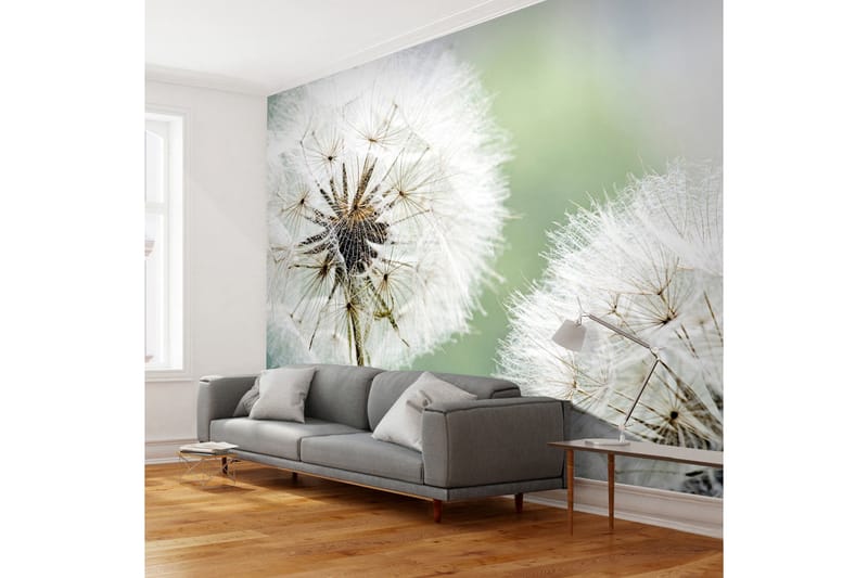 Fototapet Two Dandelions 250x193, Artgeist sp. z o. o.