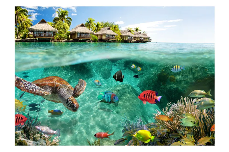 Fototapet Under The Surface Of Water 350x245 - Artgeist sp. z o. o. - Innredning - Veggdekorasjon - Tapeter - Fototapeter