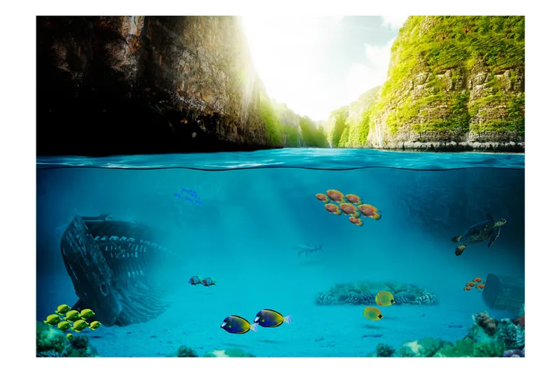 Fototapet Under The Waterline 300x210 - Artgeist sp. z o. o. - Innredning - Veggdekorasjon - Tapeter - Fototapeter