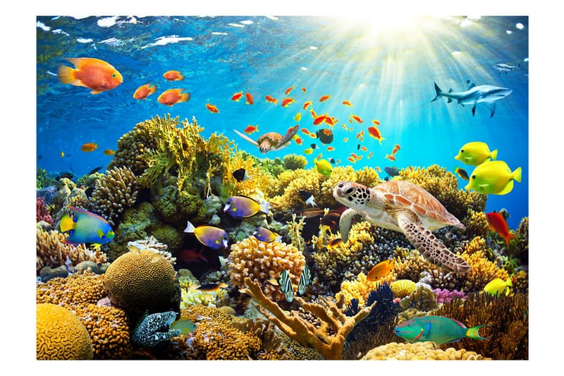 Fototapet Underwater Land 400x280 - Artgeist sp. z o. o. - Innredning - Veggdekorasjon - Tapeter - Fototapeter