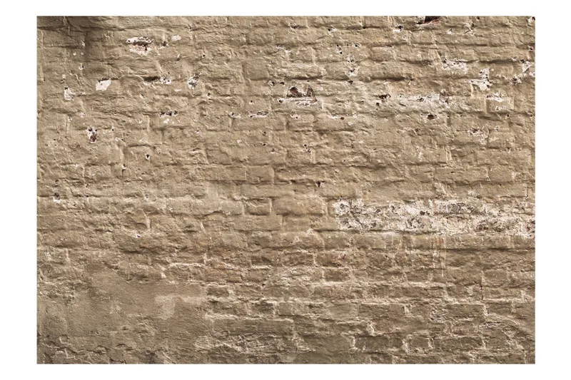 Fototapet Urban Oasis 150x105 - Artgeist sp. z o. o. - Innredning - Veggdekorasjon - Tapeter - Fototapeter