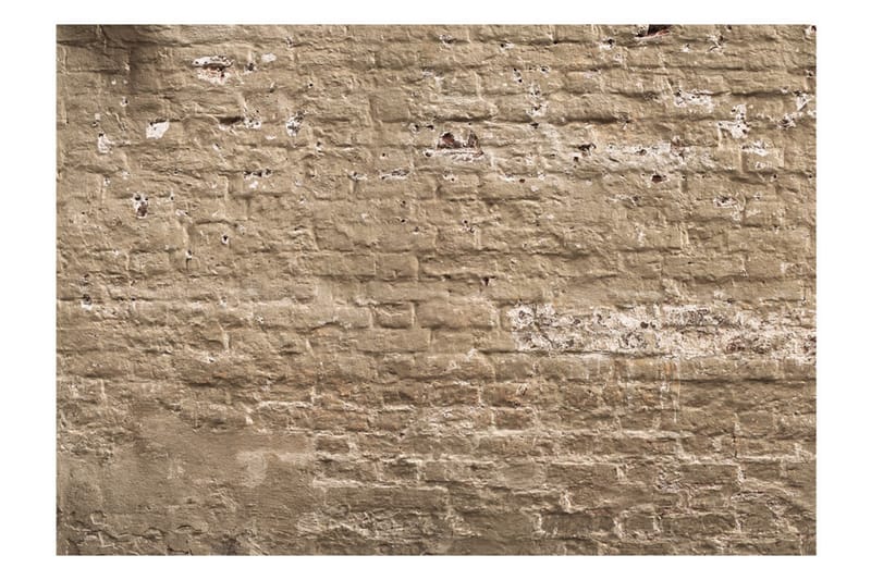 Fototapet Urban Oasis 250x175 - Artgeist sp. z o. o. - Innredning - Veggdekorasjon - Tapeter - Fototapeter