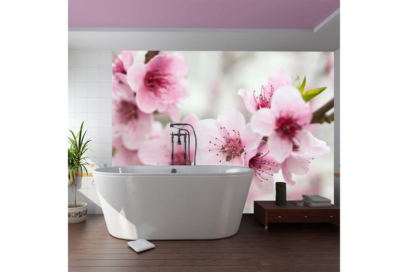 Fototapet Vår Blomstrende Tre Rosa 200x154, Artgeist sp. z o. o.