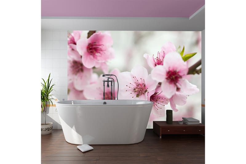 Fototapet Vår Blomstrende Tre Rosa Blomster 350x270 - Artgeist sp. z o. o. - Innredning - Veggdekorasjon - Tapeter - Fototapeter