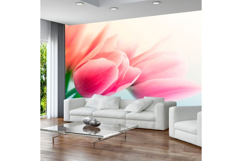 Fototapet Vår Og Tulipaner 300x231 - Artgeist sp. z o. o. - Innredning - Veggdekorasjon - Tapeter - Fototapeter