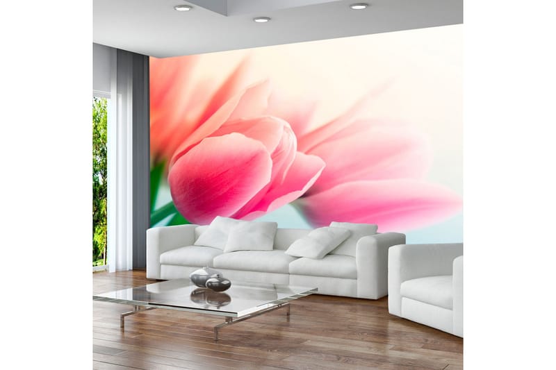 Fototapet Vår Og Tulipaner 350x270, Artgeist sp. z o. o.