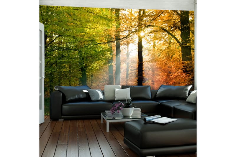 Fototapet Vakker Høst 350x270 - Artgeist sp. z o. o. - Innredning - Veggdekorasjon - Tapeter - Fototapeter