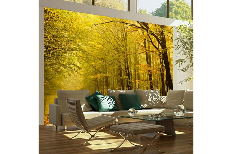 Fototapet Vei Høst Skogen 350x270 - Artgeist sp. z o. o. - Innredning - Veggdekorasjon - Tapeter - Fototapeter