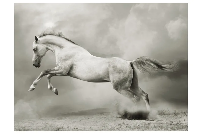 Fototapet Vill Hingst 300x231, Artgeist sp. z o. o.