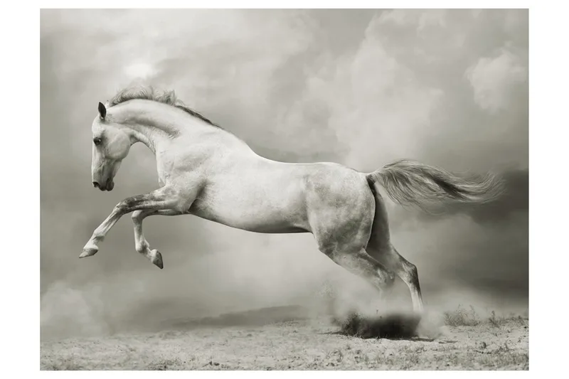 Fototapet Vill Hingst 300x231, Artgeist sp. z o. o.