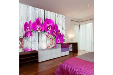 Fototapet Violet Orchids With Water Reflection 200x154 - Artgeist sp. z o. o. - Innredning - Veggdekorasjon - Tapeter - Fototapeter